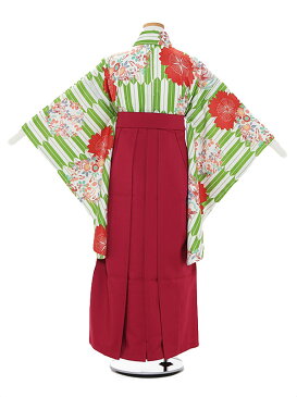 【レンタル】【あす楽】10歳前後 女児袴レンタル A033 グリーン 矢柄 花×ローズ袴セット 140-145cm 10歳 卒業式 小学生 卒業袴 6年生 貸衣装 子供着物【0ARA033】