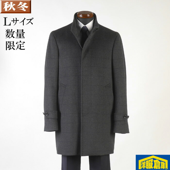 ������ɥ��顼������ ��󥺡�L�������۵����Ǻ� ������ɥڥ��� SG-L 13000 GC33005