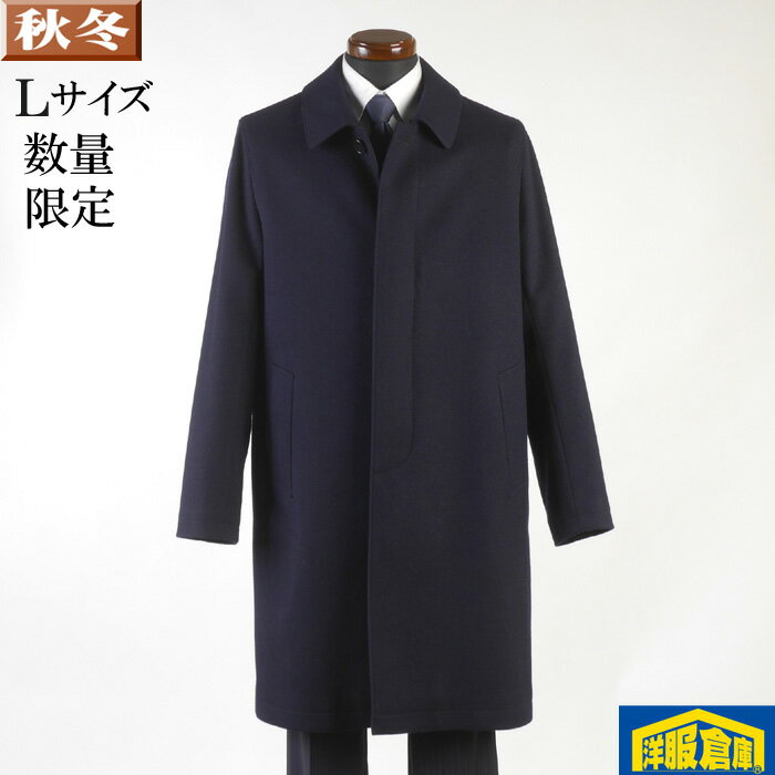 ���ƥ󥫥顼������ ��󥺡�L�������ۥ�����100�� ���ȥ� ��̵�� SG-L 16000 GC33006