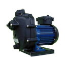 寺田ポンプ CMP2-60.4R 陸上ポンプ(樹脂製) テラダ CMP 排水ポンプ 給水ポンプ 循環ポンプ
