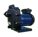 寺田ポンプ CMP3N-60.4R 陸上ポンプ(樹脂製) テラダ CMP 排水ポンプ 給水ポンプ 循環ポンプ