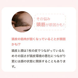 P15倍★予約【ヤーマン公式】頭筋を刺激して、お顔のリフトケア*(YA-MAN)ミーゼスカルプリフト