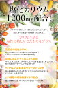ya-nulla:10000452のサンプル画像3