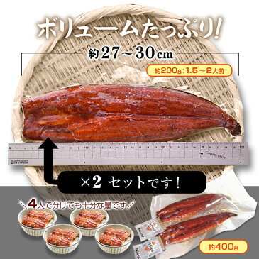 国産うなぎ 特大蒲焼き(約400g(2〜4人前))セット鰻 ウナギ 丑の日 土用 お中元 タレ付き 山椒付き 熨斗可能【愛知県or静岡県or宮崎産】