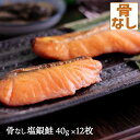 骨なし 塩銀鮭 40g×12枚 シャケ 有塩 骨抜き 骨取り 送料無料(一部地域を除く) タンパク質 ビタミンB群 ビタミンD アスタキサンチン EPA DHA 必須脂肪酸 不飽和脂肪酸 オメガ3脂肪酸