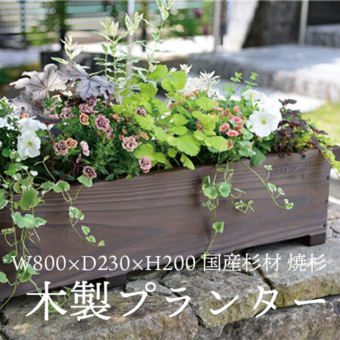 楽天市場】木製プランター ミニ(ガーデニング・農業|花 楽天市場】木製プランター ミニ(ガーデニング・農業|花