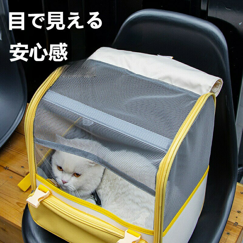 �ں���P10�ۥڥå� ����꡼ �Хå� ǭ �ޤꤿ���� �� �������� �ѥå� Ķ������ ����ǭ �淿ǭ �緿ǭ ������ ������ ��ưʪ �ڥåȥ���꡼���å� ǭ����꡼�Хå� ������꡼�Хå� �̵� ���� �ͤ� ������ˤ��� ���� �ѵ� �Ф��� �����ɺ�