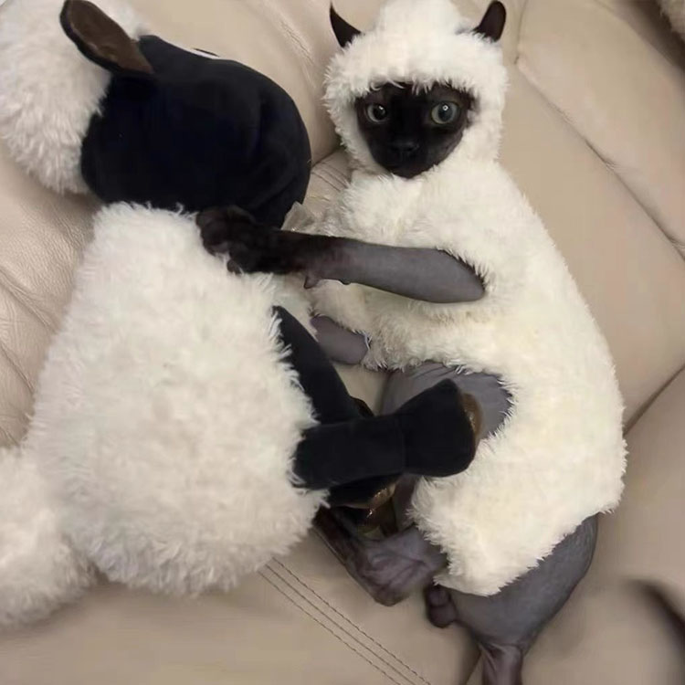 �ں���P5��ǭ�� ���ե��󥯥�ǭ ����åȥ����� �İ��� �դ�դ� �ܥ� ���ӥ��˥��� �ǥܥ��å��� ���餫�� �Ȥ��� �ڥå��� ������� �����˥å����å��� �ԡ������ܡ���� ���Ф��� ���˥�̵�Ӥ�ǭ ��æ��ñ �� XS S M L XL XXL