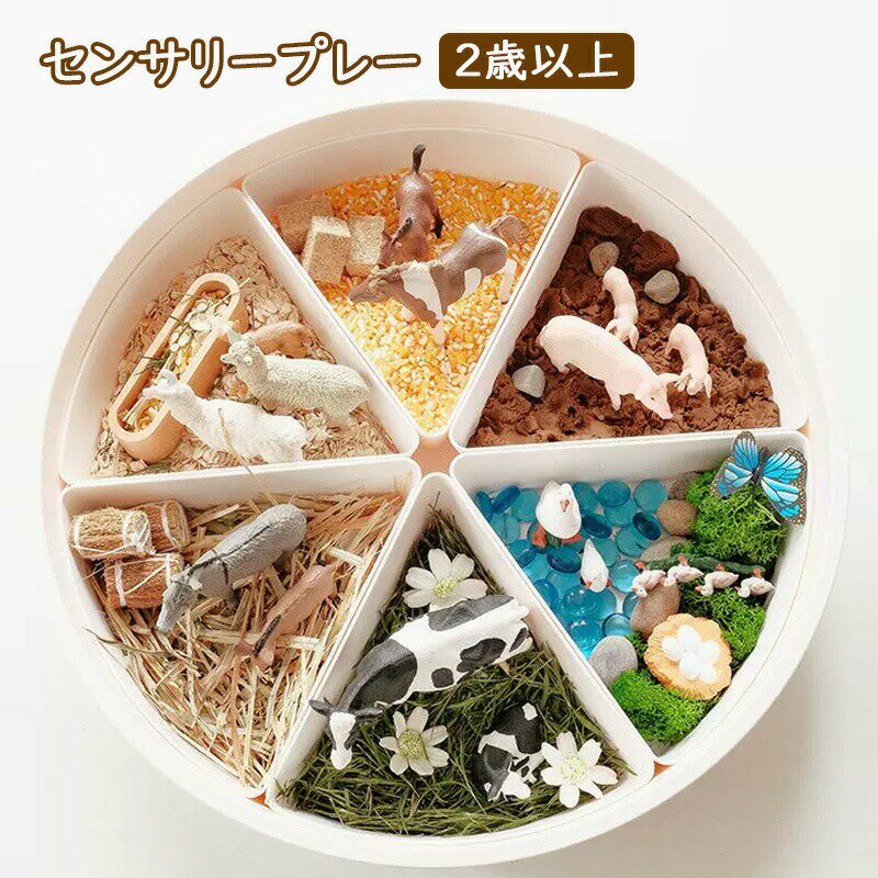 センサリープレイ 子供 粘土おもちゃ 誕生日プレゼント プレゼント ギフト お祝い モンテッソーリ プレイドー 五感 知育玩具 ごっこ遊び 木製おもちゃ 指先 感触 感覚 知覚 男の子 女の子 指先の知育