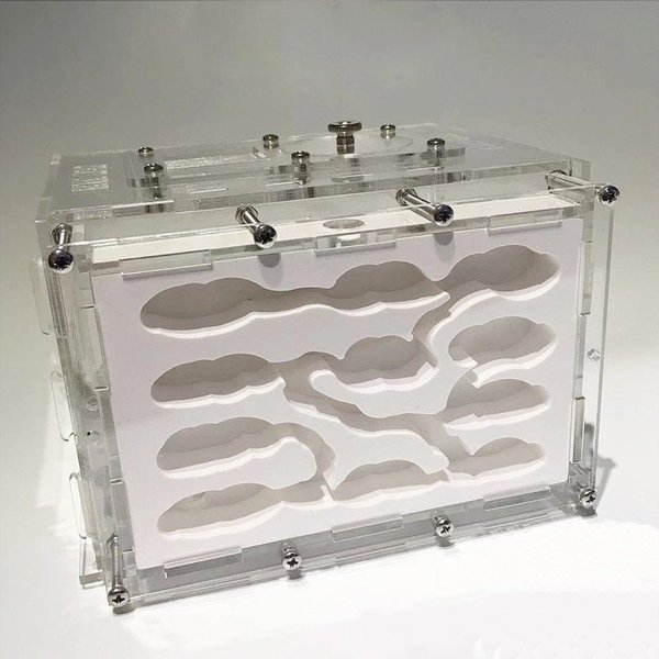 �ں���P5+100OFF�ۻ��饱���� ������� ��� �� �ѻ� ���å� �й� ������� ��¥��ꥢ L������ ��ͳ���� ������ ���� �� ���饻�å� �¸�����...