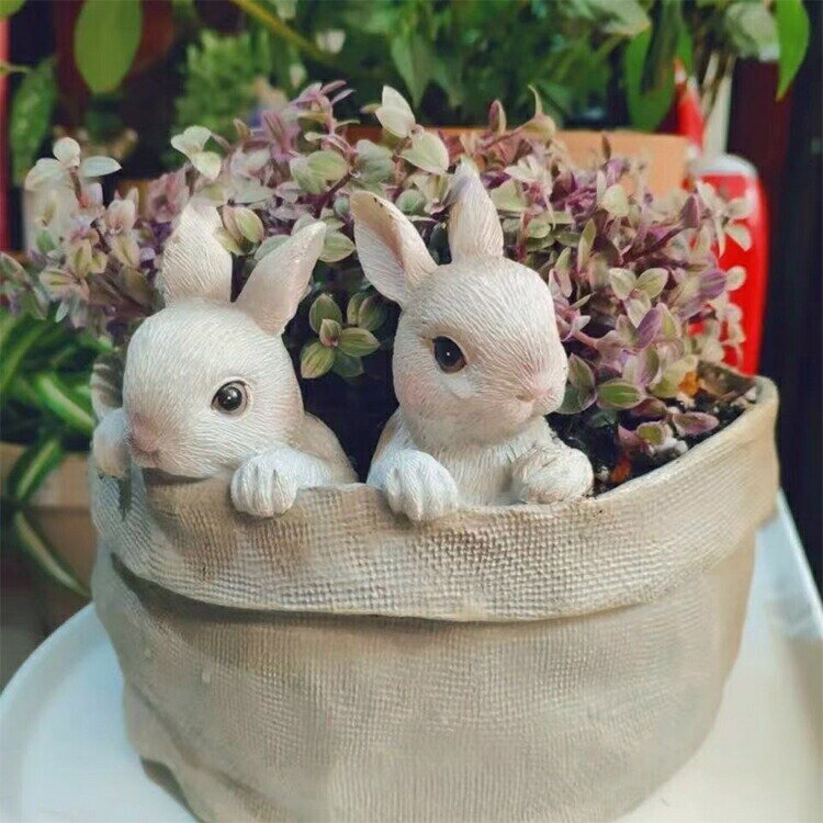 多肉植物鉢 おしゃれ 植木鉢 園芸 可愛い 癒しウサギ ミニ 多肉 苔 コケリウム 屋...