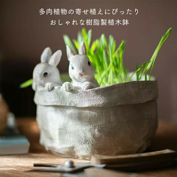 多肉植物鉢 おしゃれ 植木鉢 園芸 可愛い 癒しウサギ ミニ 多肉 苔 コケリウム 屋...
