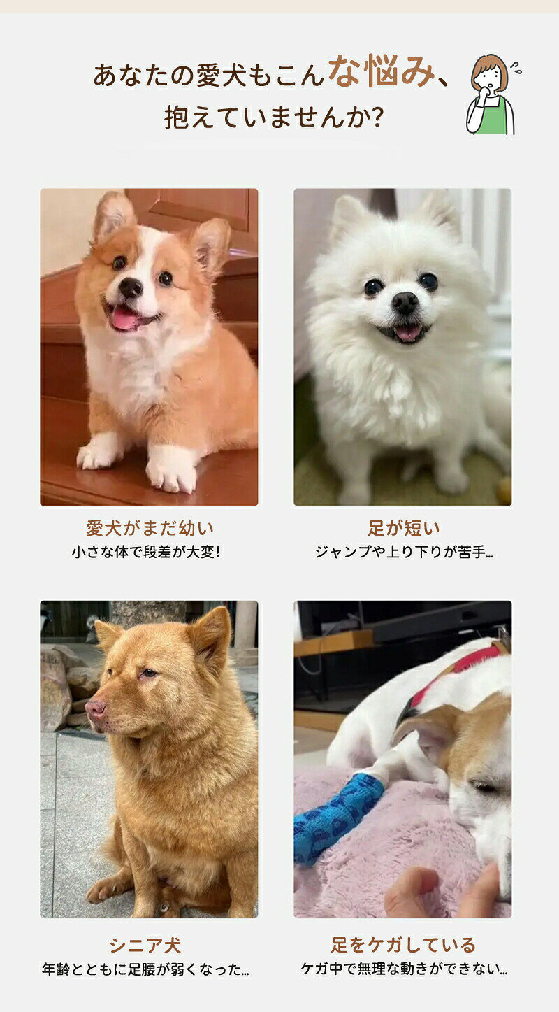 日用雑貨ヤブーショップ楽天市場店のステップ 階段 ペットステップ 犬 踏み台 2段/3段/4段 クッション スロープ ステップ ペット用 緩やかドッグステップ 撥水 スロープ犬 ペットスロープ 犬用品 室内犬 パピーヘルニア 脱臼 ケガ防止 介護用｜アングル2