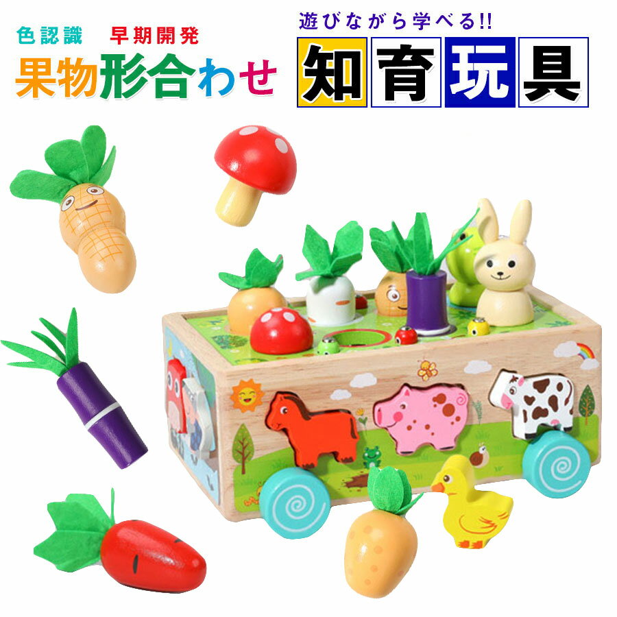 Rakuten - 【31点セット】モンテッソーリ おもちゃ 知育おもちゃ 木製 パズル モンテッソーリ教具 木のおもちゃ 積み木 型はめ 形認識 色認識 果物 動物 はめこみ 形合わせ 指先訓練 脳トレ 子ども誕生日おプレゼント女の子男の子6ヶ月1歳2歳3歳4歳 人気ギフト