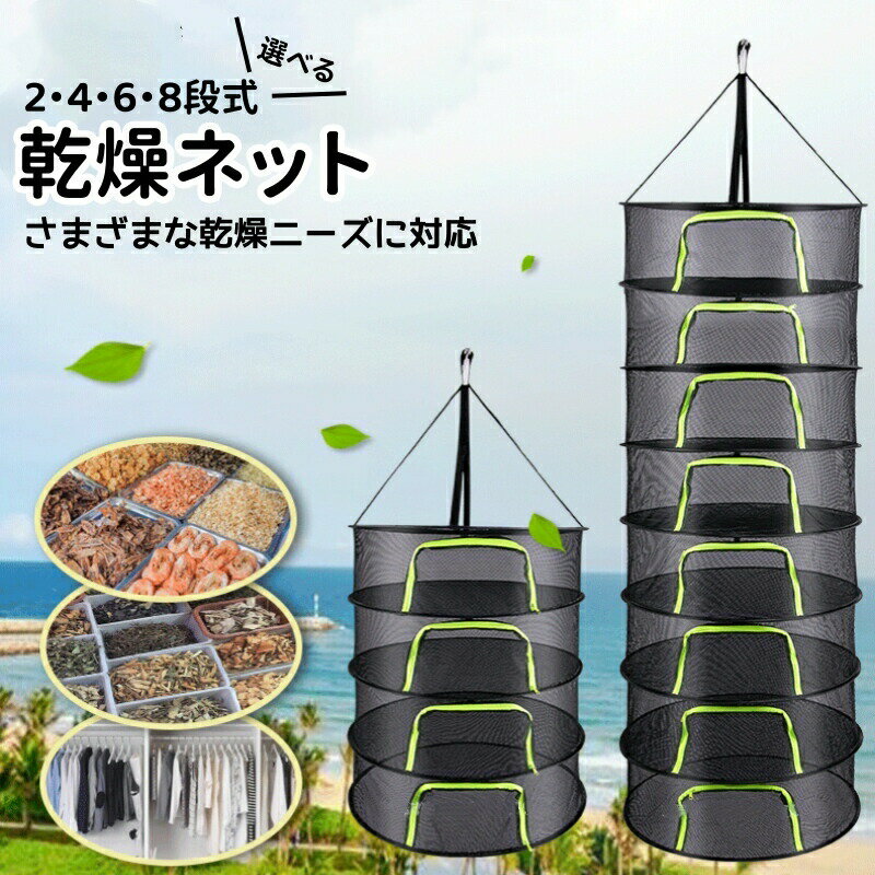 サンプル画像3