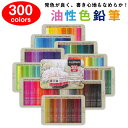 【300色セット】色鉛筆 300色セット 油性色鉛筆 プロ専用 ソフト芯色鉛筆セット 収納ケース付き 油性色鉛筆セット 子供から大人の塗り絵 お絵かき デッサン...