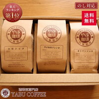 コーヒー豆ギフト（やぶ珈琲・キリマンジャロ・ガテマラSHB）