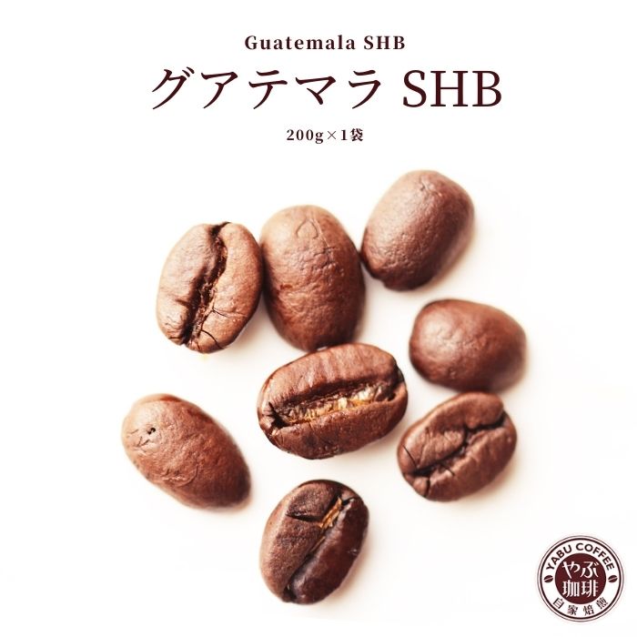 やぶ珈琲 コーヒー グアテマラ SHB コーヒー 200g x 1袋 | グァテマラ ガテマラ コーヒー豆 珈琲 自家焙煎 こだわり 生豆 粉 マイルド プレミアム 香り 焙煎 挽き立て 本格 種類 専門店 珈琲豆