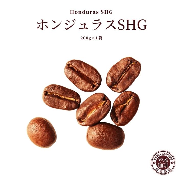 やぶ珈琲 コーヒー ホンジュラス SHG コーヒー 200g × 1袋 | コーヒー豆 珈琲 自家焙煎 こだわり 豆 生豆 粉 粗挽き 細挽き マイルド プレミアム 香り 焙煎 挽き立て 本格 種類 専門店 お試し おためし 珈琲豆