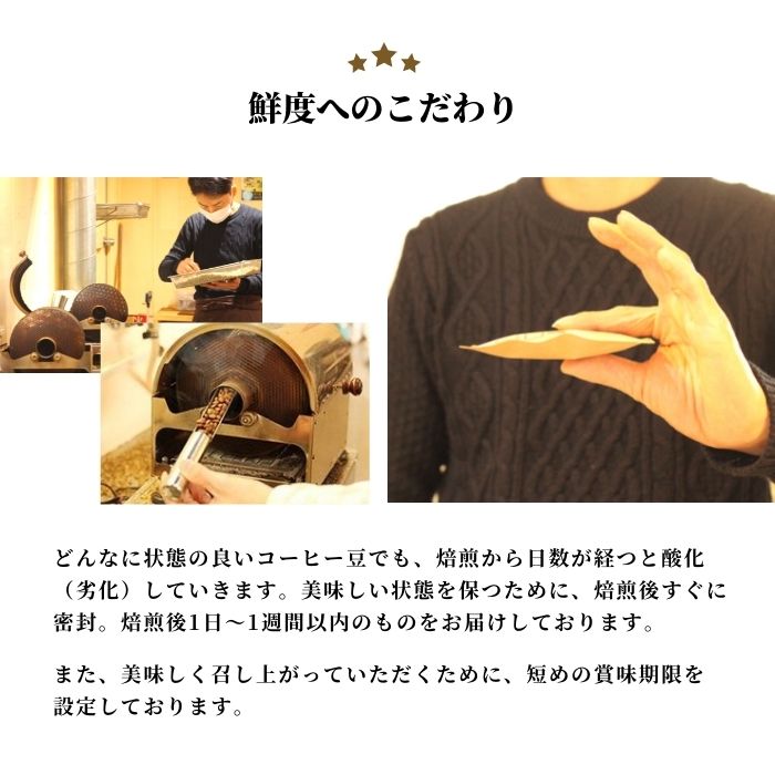 送料無料コピルアク1袋お試し2袋ジャコウネコやぶ珈琲インドネシアドリップコーヒードリップバッグコーヒー珈琲10g飲み比べ|本物自家焙煎こだわり高級ギフト包装ラッピングプレゼント種類