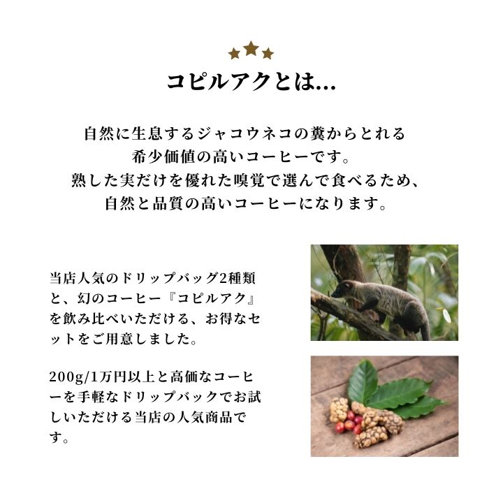 選べるコーヒー豆2袋ギフト