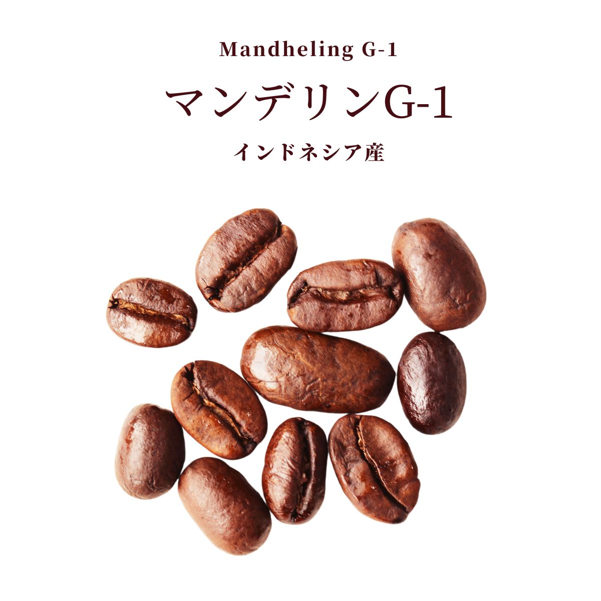 やぶ珈琲 コーヒー マンデリン G1 インドネシア コーヒー スマトラ式 200g × 1袋 | コーヒー豆 珈琲 自家焙煎 こだわり 生豆 粉 プレミアム 香り 焙煎 挽き立て 本格 種類 専門店 お試し おためし 苦味 珈琲豆