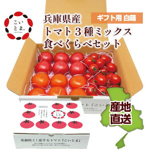 【6月終了】こいとま セレブスイート フルーツゴールドギャバリッチ ルージュジャポネーゼ 3種食べくらべセット ミニトマト 約0.8kg～1.0kg　兵庫県 養父市 やぶ トーヨー養父農業生産法人 高糖度 高濃度 甘味 酸味 トマト ギフト 高級トマト 送料無料 （一部地域を除く）