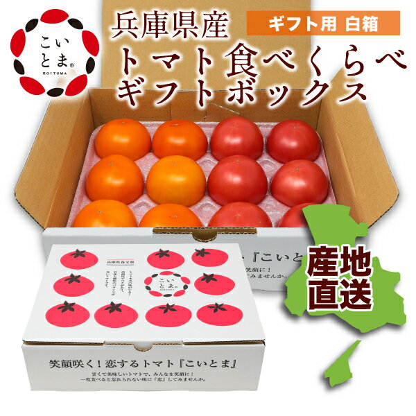 【6月中旬終了】こいとま セレブスイート フルーツゴールドギャパリッチ 食べくらべ 兵庫県 養父市 やぶ トーヨー養父農業生産法人 高糖度 高濃度 甘味 酸味 糖度 8～10 ギフト 約0.8kg～1.0kg 高級 トマト ギフト 高級トマト プレゼント 贈り物 送料無料（一部地域を除く）