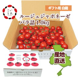 こいとま ルージュジャポネーゼ バラ詰 1.0kg（約60～80個入） 兵庫県 養父市 やぶ トーヨー養父農業生産法人 高糖度 高濃度 甘味 送料無料