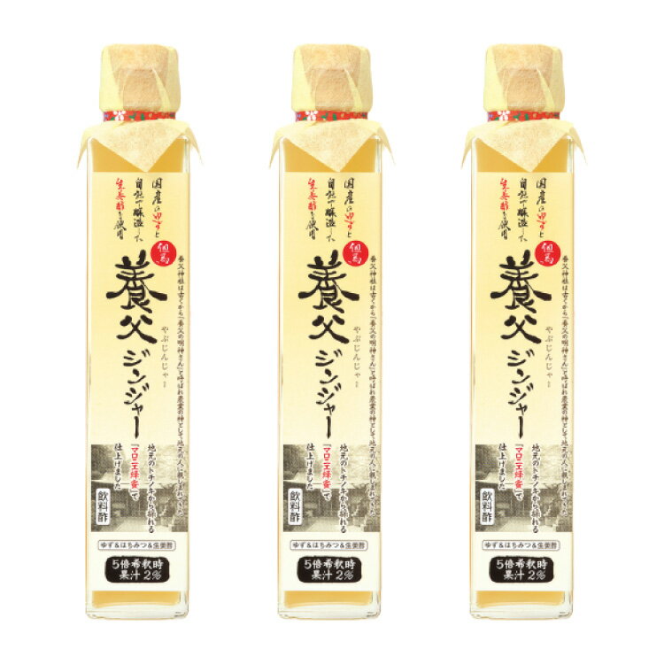 3本入り 養父ジンジャー 200ml 国産 生姜 生姜酢 トチノキ マロニエ蜂蜜 使用 飲料酢 ジンジャーエール 送料込み