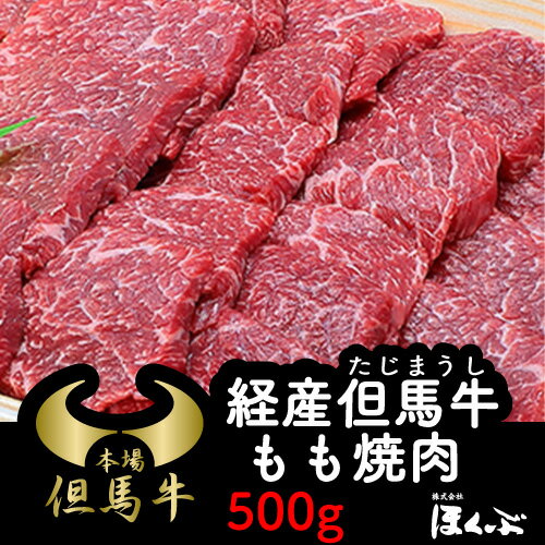 経産但馬牛 焼肉用 もも 500g ブランド牛 兵庫県朝来市