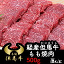 経産但馬牛 焼肉用 もも 500g ブランド牛 兵庫県朝来市 ほくぶ 産地直送【熨斗(のし)対応可】 送料無料