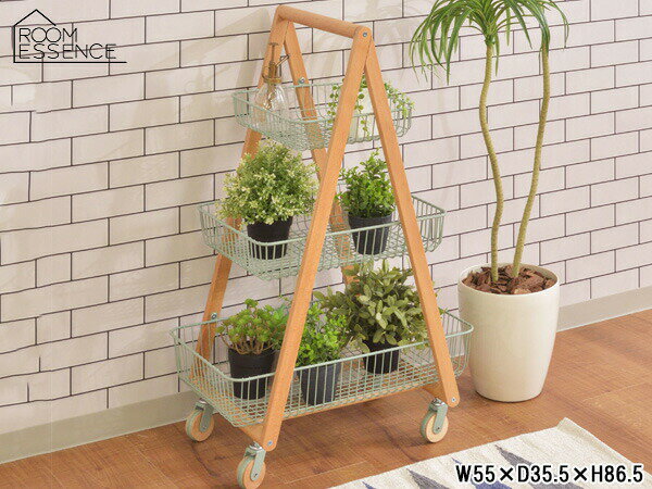 ڥޥ饽楨ȥ꡼P5ܡ6/22 206/26ë Хåȥ若 ꡼ W55D35.5H86.5 PW-54G...
