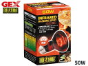 GEX ヒートグロー 赤外線照射スポット ランプ 50W PT2141 爬虫類 両生類用品 爬虫類用品 ジェックス EXO TERRA