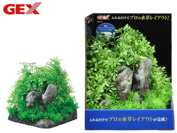 GEX 癒し水景 アクアキャンバス F-L 熱帯魚 観賞魚用品 水槽用品 アクセサリー ジェックス