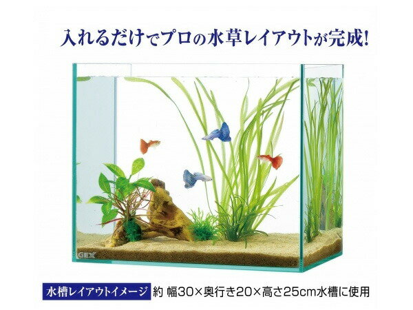 【P10倍チャンス★エントリーするだけ！5/23 20時～5/26】GEX 癒し水景 水草付き流木 ニードル 熱帯魚 観賞魚用品 水槽用品 アクセサリー ジェックス 2