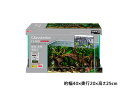 グラステリアFL400 スリムフィルターセット 創造 表現 無限大 観賞魚用品 水槽 セット水槽 GEX 送料無料