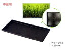 中苗用 育苗箱 水稲用 1300穴 60×30×3cm 30個セット 黒 ブラック アイカ aika 代引不可 配送不可地域有 法人のみ配送 送料無料