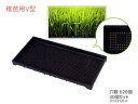 稚苗用 育苗箱 水稲用 628穴 60×30×3.7cm 30個セット 稚苗用V型 保水 クリスタルカット 黒 ブラック アイカ aika 配送不可地域有 法人のみ配送 送料無料