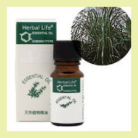 生活の木 アロマ オイル エッセンシャルオイル 精油【生活の木 エッセンシャルオイル シトロネラ(10ml) 】ハーブコーディアルあります♪