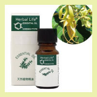 生活の木 エッセンシャルオイル （精油）イランイラン・エクストラ(10ml)