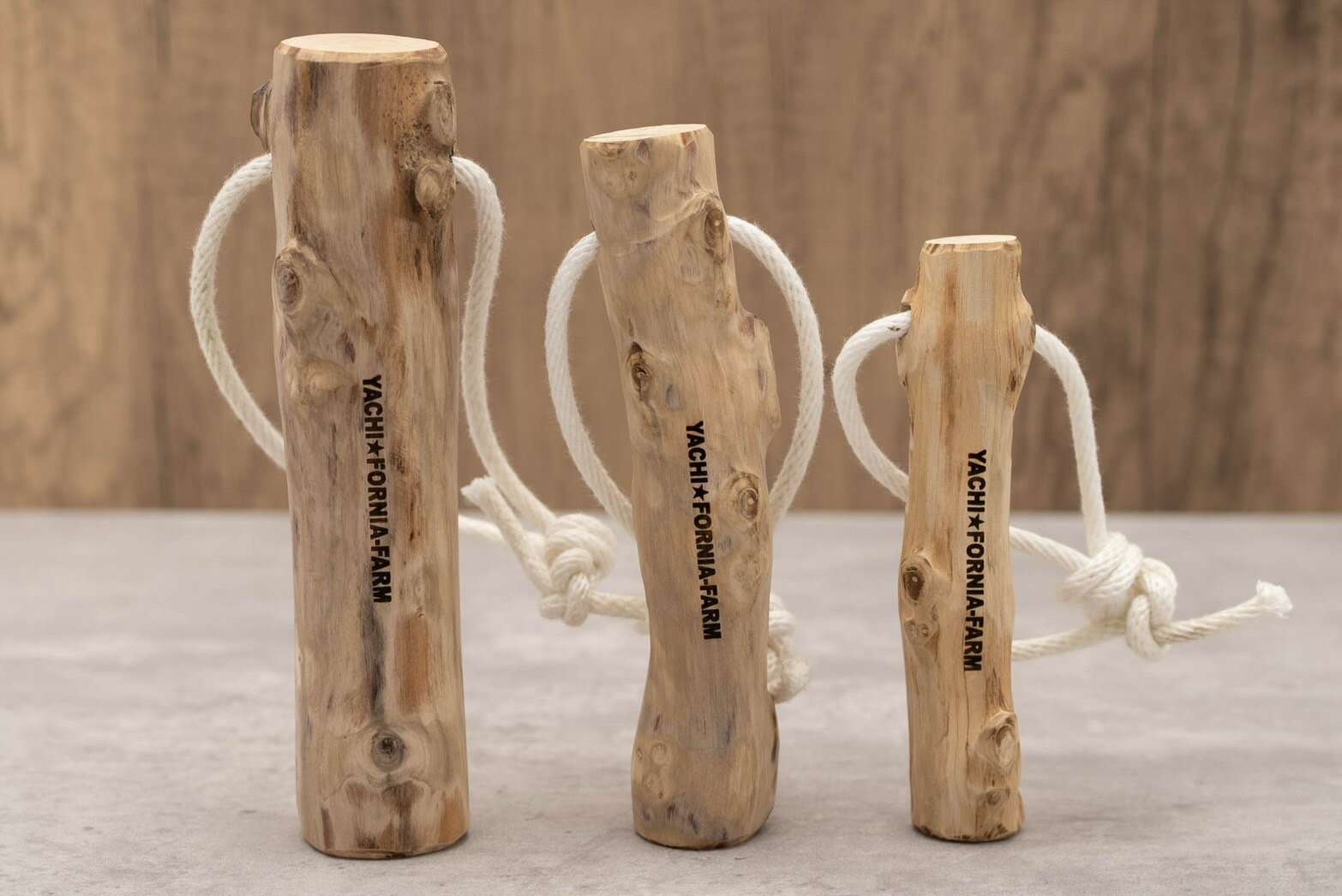 �񻺥����ҡ����ڡָ��γ��प������L���������������� £��ʪ �ץ쥼��Ȥ�