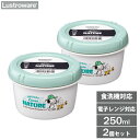 スクリュートップ キャニスター 250ml (2個セット) スヌーピー 岩崎工業 B-2270 NC / 日本製 食洗機対応 電子レンジ対応 冷凍 冷蔵 保存容器 フードケース コンテナ 丸型 食品 作り置き おかず 便利 キャラクター SNOOPY PEANUTS かわいい おしゃれ シンプル 白 ホワイト /