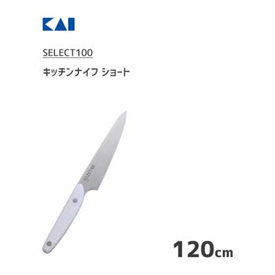 åʥ 硼 120mm  SELECT100 AB5062 /  ʥ ƥ쥹 ѥȥ  ...