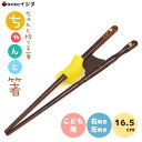 ちゃんと箸 16.5cm こども用 イシダ / 日本製 4~6才 お箸 右利き用 左利き用 おけいこ箸 お稽古箸 矯正 しつけ箸 トレーニング箸 サポート お箸 練習 持ち方 子ども用 こども用 子供用 キッズ用 天然木 木製 /