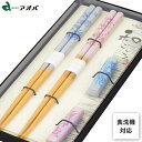 箸&箸置きセット 鳥獣戯画 アオバ / 日本製 食洗機対応 お箸 2膳 23cm 21cm 箸置き付き 和柄 和風 カトラリー おしゃれ お洒落 かわいい 可愛...