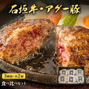 【楽天で6冠獲得】沖縄 石垣島産 アグー豚 南ぬ豚 石垣牛 網脂 ハンバーグ 6個セット 食べ比べ 140g 4個 120g 2個 あぐー豚 お取り寄せ グルメ 国産 ギフト プレゼント 贈答 お土産 お祝い お…