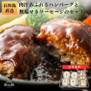 石垣島産 アグー豚 南ぬ豚 定番セット | お取り寄せグルメ ハンバーグ 豚肉 高級 ソーセージ 無添加 あぐー豚 網脂 肉汁 国産 沖縄 希少 極上 贈答 お...