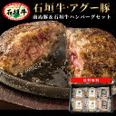 【楽天で6冠獲得】沖縄 石垣島産 アグー豚 南ぬ豚 石垣牛 網脂 ハンバーグ 6個セット 食べ比べ (140g×4個 120g×2個) あぐー豚 お取り寄せ グ...