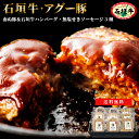 南ぬ豚 & 石垣牛 贅沢詰め合わせ セット ハンバーグ 3種×2個 無添加 ソーセージ 3種×1パック | 石垣島産 アグー豚 牛肉 お取り寄せグルメ 国産 沖...